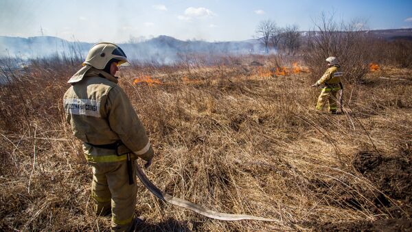 Los equipos de rescate comienzan a extinguir un incendio forestal - Sputnik Mundo