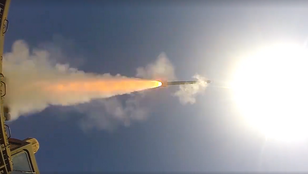 Vilja, sistema de misiles ucraniano - Sputnik Mundo