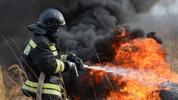 Los equipos de rescate extinguen un incendio forestal (archivo) - Sputnik Mundo