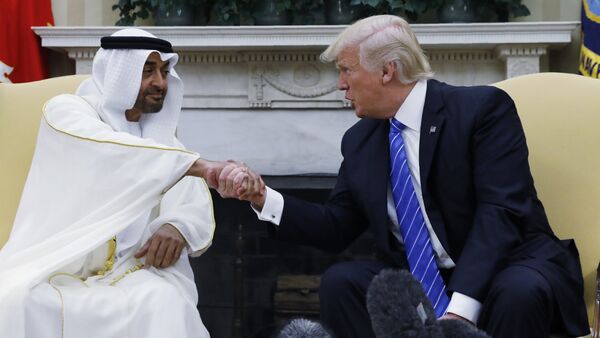 El príncipe heredero de Abu Dabi, Mohamed bin Zayed al Nahyan, y el presidente de EEUU, Donald Trump - Sputnik Mundo