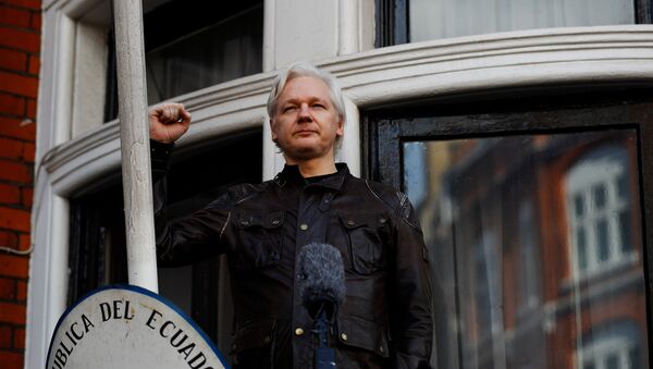 Julian Assange, fundador de Wikileaks, en la embajada de Ecuador en Londres - Sputnik Mundo