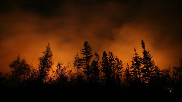 Incendio forestal - Sputnik Mundo