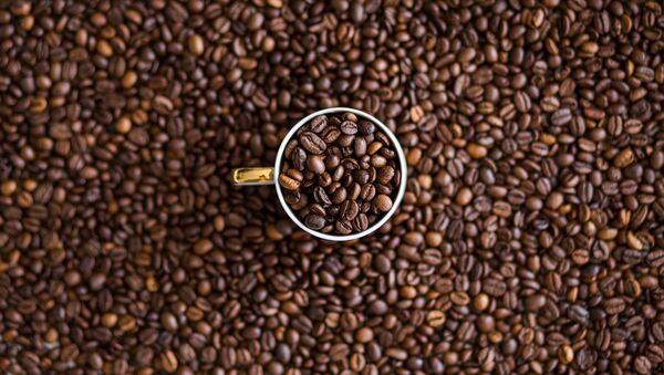 Granos de café (imagen referencial) - Sputnik Mundo