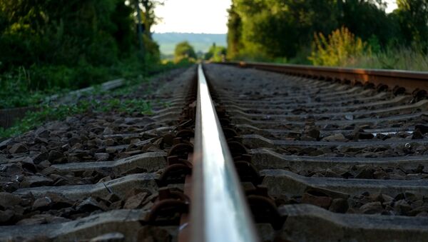 Ferrocarril (imagen referencial) - Sputnik Mundo