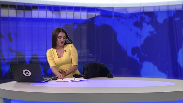 Muerta del susto: así quedó una presentadora rusa en vivo y en directo - Sputnik Mundo