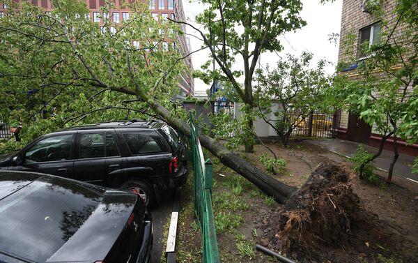 Las consecuencias del huracán en Moscú - Sputnik Mundo