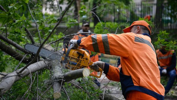 Los trabajos para paliar las consecuencias de la tormenta en Moscú - Sputnik Mundo