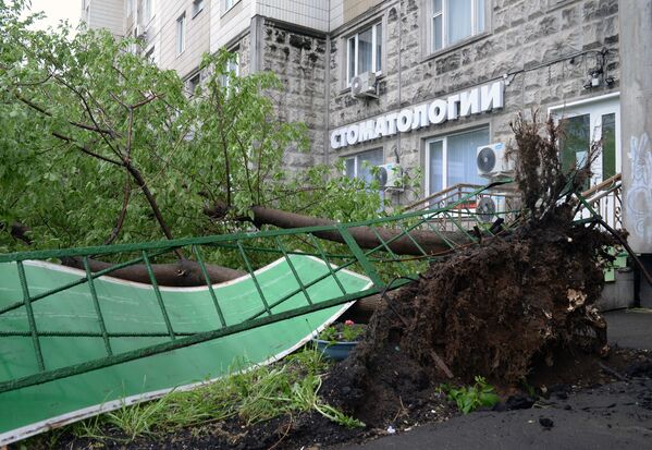 Moscú, las huellas del devastador huracán - Sputnik Mundo