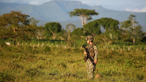 Un militar colombiano en una región ocupada por los guerrilleros de FARC (archivo) - Sputnik Mundo