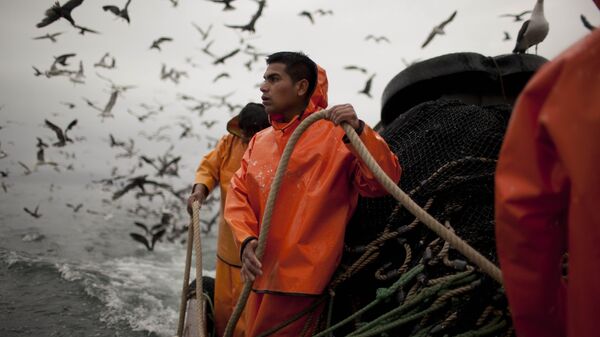 Pescadores de la industria pesquera holandesa en las costas de Perú - Sputnik Mundo