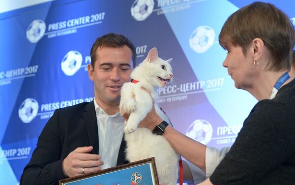 El gato Aquiles, uno de los felinos del museo del Hermitage en San Petersburgo - Sputnik Mundo