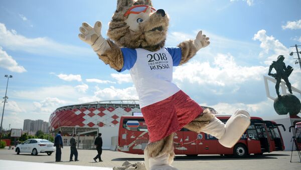 El lobo Zabivaka, la mascota oficial de la Copa Confederaciones 2017 y Mundial 2018 - Sputnik Mundo