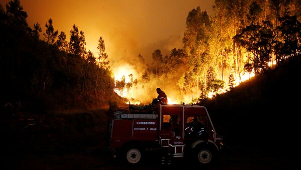 Incendio en Portugal - Sputnik Mundo