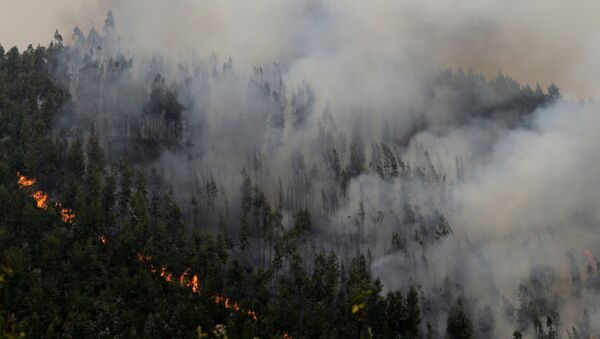 Incendio forestal cerca de Pedrógao Grande, en Portugal - Sputnik Mundo