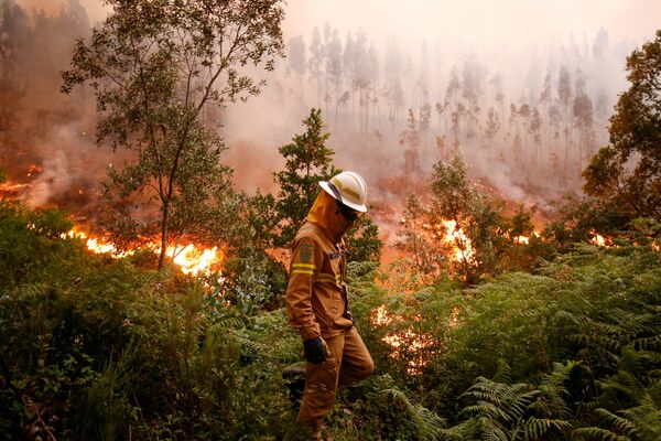 Portugal en llamas: duelo nacional por las víctimas de los incendios forestales - Sputnik Mundo