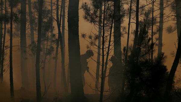 Los bomberos combaten incendio forestal (archivo) - Sputnik Mundo