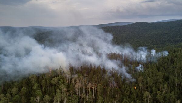 Incendios forestales en Rusia (archivo) - Sputnik Mundo