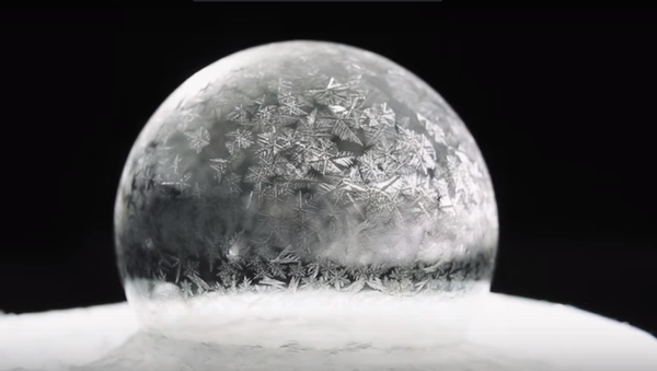 Una burbuja congelada - Sputnik Mundo