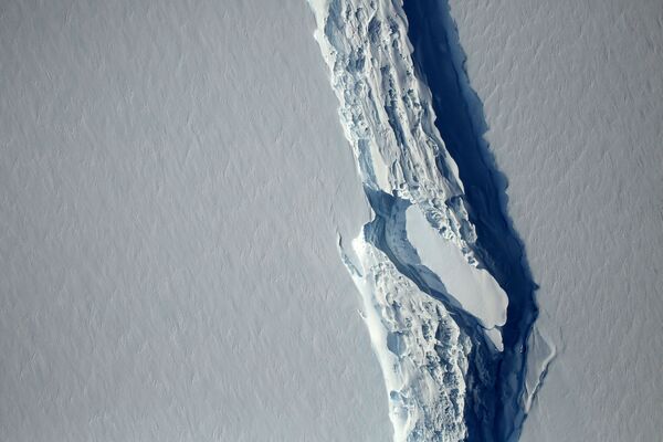 Cómo la Antártida disminuye peligrosamente de tamaño - Sputnik Mundo