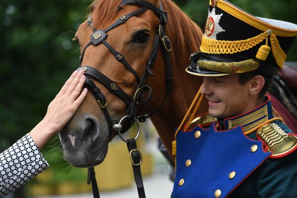 Así son los jinetes de la Escuela de Equitación del Kremlin - Sputnik Mundo