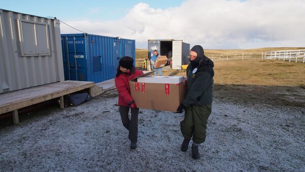 La exhumación de los restos de soldados argentinos en las islas Malvinas - Sputnik Mundo