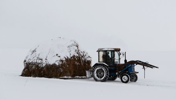Un tractor en Altái, en el sur de Siberia - Sputnik Mundo
