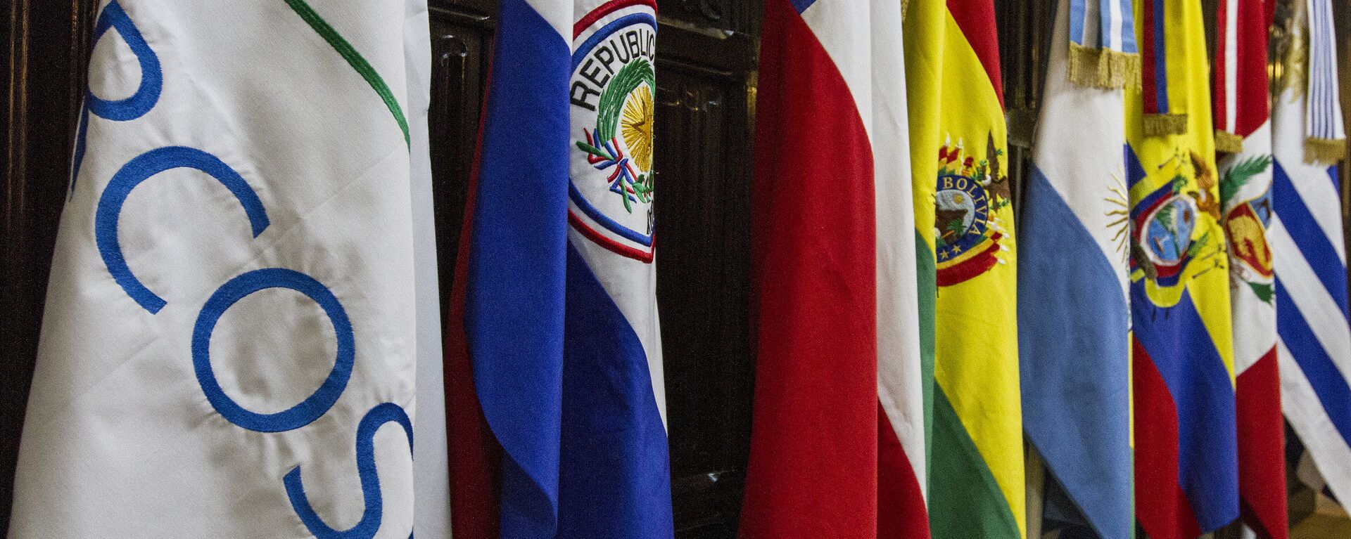 Banderas de los países miembros del Mercosur  - Sputnik Mundo, 1920, 02.10.2023