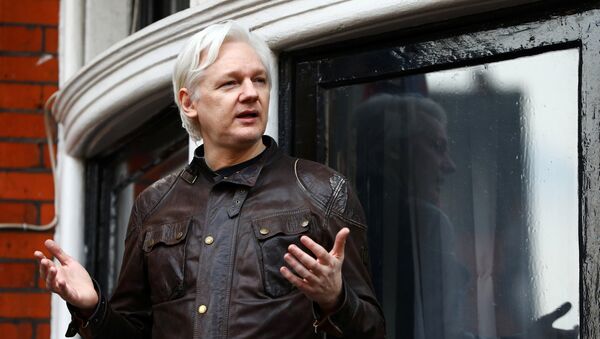 Julian Assange, en la embajada de Ecuador en Londres (archivo) - Sputnik Mundo