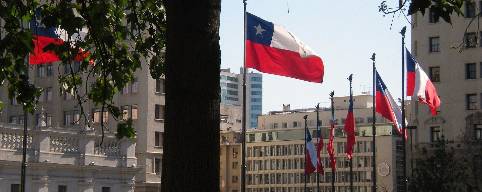 Bandera de Chile - Sputnik Mundo, 1920, 12.08.2021