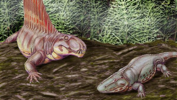 Dimetrodon gigas y Eryops megacephalus (ilustración) - Sputnik Mundo