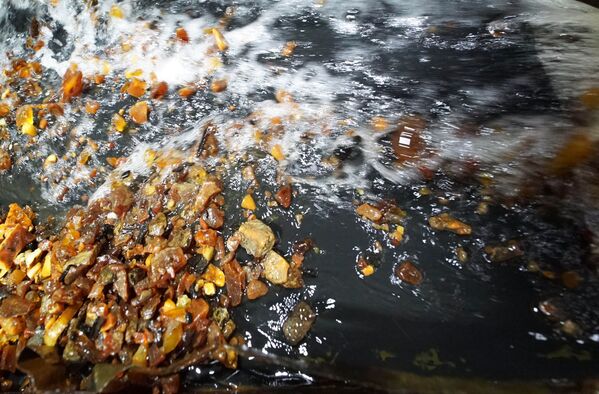 La tierra de la 'piedra de miel' rusa: la extracción de ámbar en Kaliningrado - Sputnik Mundo