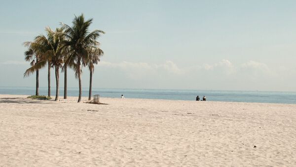 Playa en Miami, Florida - Sputnik Mundo