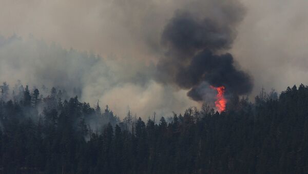 Incendios forestales en Canadá - Sputnik Mundo