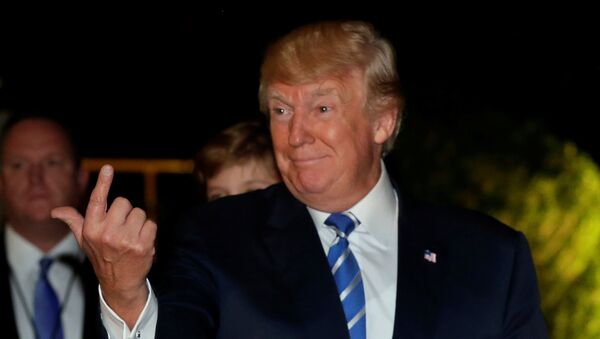 El presidente Donald Trump vuelve a la Casa Blanca - Sputnik Mundo