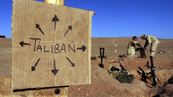 Una cartel 'Talibán' en Afganistán (imagen referencial) - Sputnik Mundo