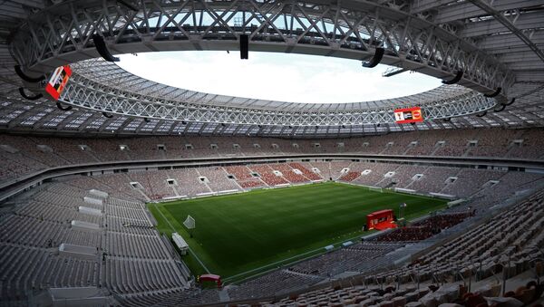 Estadio Luzhnikí - Sputnik Mundo