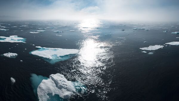 Ártico (imagen referencial) - Sputnik Mundo