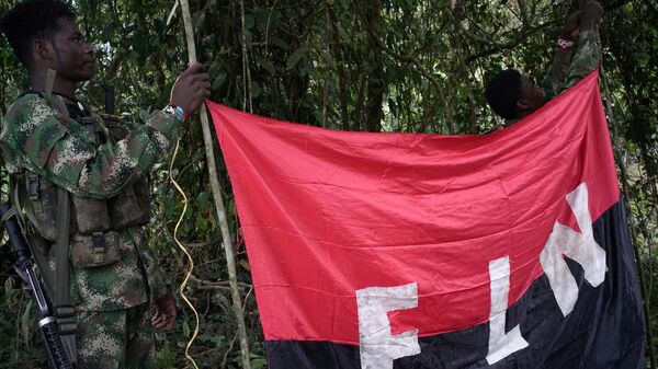 Los rebeldes del Ejército de Liberación Nacional (ELN) sostienen un estandarte en las selvas del noroeste de Colombia - Sputnik Mundo