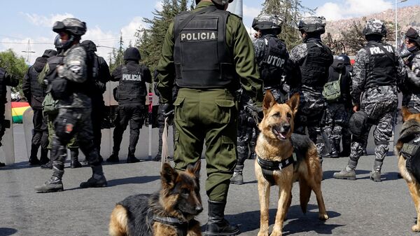 Police dogs are pictured as police stand guard during an event celebrating Saint Roque patron of pets day in La Paz city, Bolivia - Sputnik Mundo