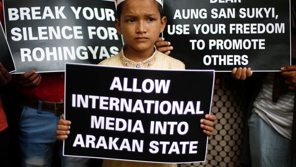 Las carteles en apoyo de los rohinyás en Birmania - Sputnik Mundo