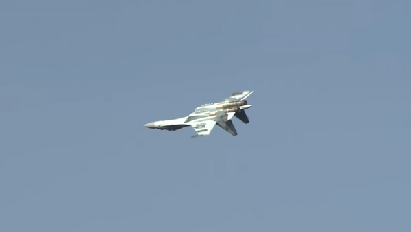 Los Su-35S dejan boquiabiertos a los participantes en el Foro Económico Oriental - Sputnik Mundo