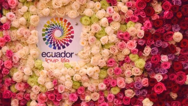 El logo de Ecuador en la feria Flowers Expo 2017 - Sputnik Mundo
