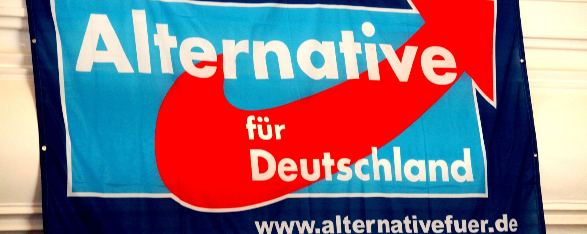 Logo del partido Alternativa para Alemania (AfD) - Sputnik Mundo, 1920, 31.01.2023