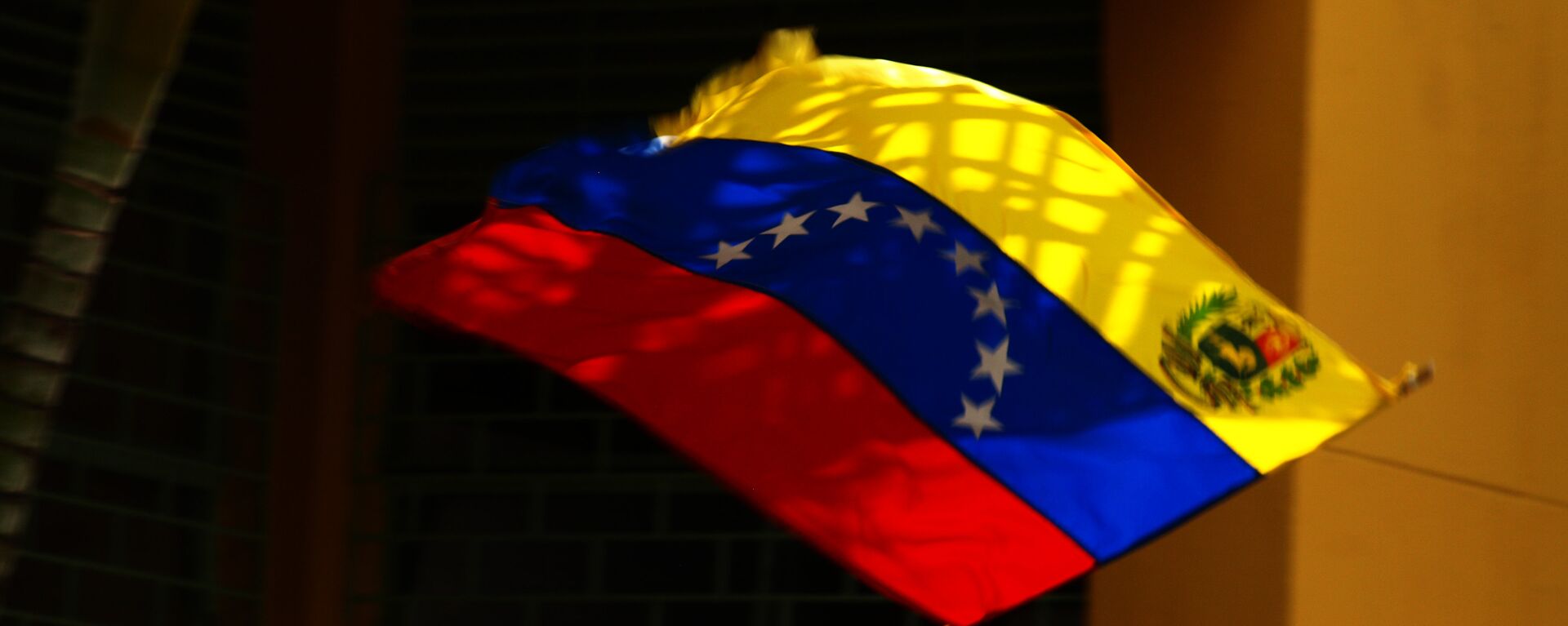 Bandera de Venezuela - Sputnik Mundo, 1920, 13.11.2023