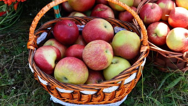 Las manzanas presentadas en una feria agroalimentaria celebrada en la ciudad rusa  de Bryansk - Sputnik Mundo