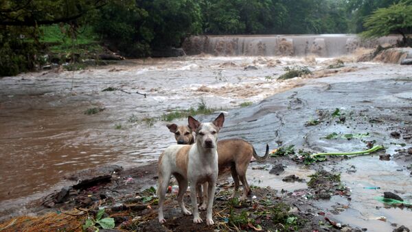 Las consecuencias de la tormenta tropical Nate en Nicaragua - Sputnik Mundo