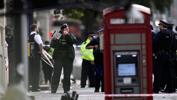 Agentes policiales en el lugar del accidente cerca del Museo de Historia Natural de Londres - Sputnik Mundo