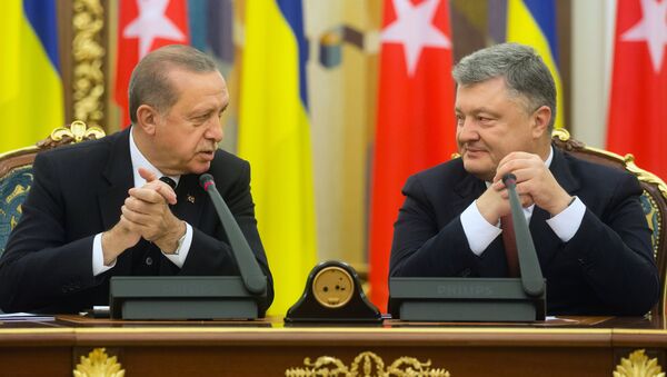 La visita de Erdogan a Kiev - Sputnik Mundo