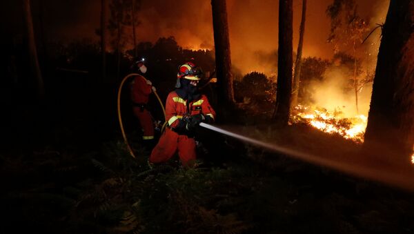 Incendios forestales en la frontera entre España y Portugal - Sputnik Mundo