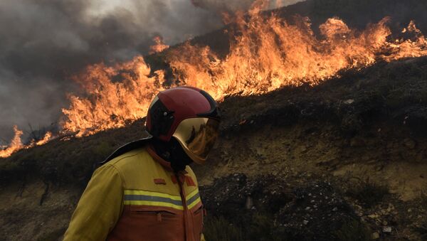 Incendio en Asturias, España - Sputnik Mundo
